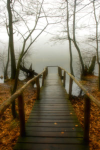 bridge-into-fog