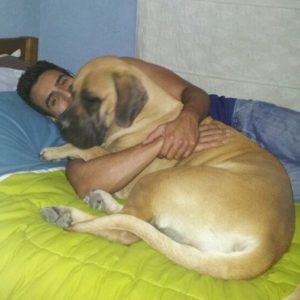 Male Teen with Large Dog